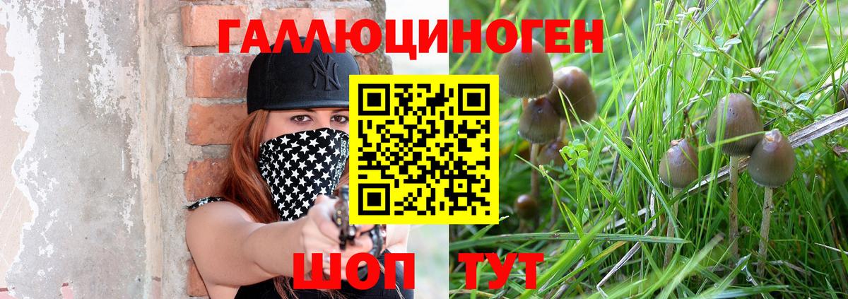 Сегежа  наркотики  Вход с VPN  Галлюциногенные грибы мицелий  Галлюциногенные грибы мицелий 