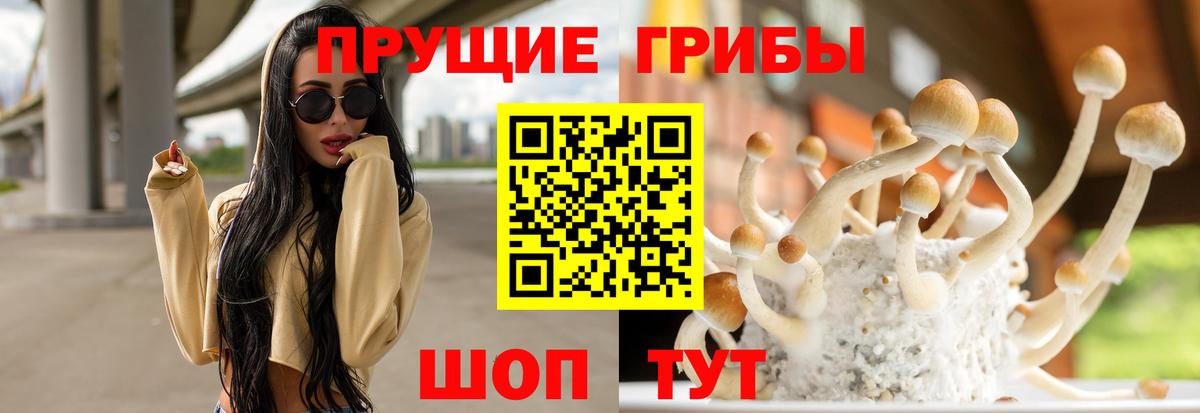 Галлюциногенные грибы мухоморы Сегежа